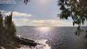 ./images/koeye/fitz-hugh/20250507/fitz-hugh20250507_164011M.jpg