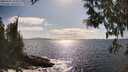 ./images/koeye/fitz-hugh/20250507/fitz-hugh20250507_164508M.jpg