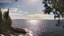./images/koeye/fitz-hugh/20250507/fitz-hugh20250507_165010M.jpg