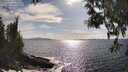 ./images/koeye/fitz-hugh/20250507/fitz-hugh20250507_171010M.jpg