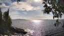./images/koeye/fitz-hugh/20250507/fitz-hugh20250507_171511M.jpg