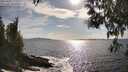 ./images/koeye/fitz-hugh/20250507/fitz-hugh20250507_172510M.jpg