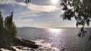 ./images/koeye/fitz-hugh/20250507/fitz-hugh20250507_173011M.jpg