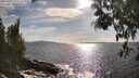 ./images/koeye/fitz-hugh/20250507/fitz-hugh20250507_173509M.jpg