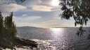 ./images/koeye/fitz-hugh/20250507/fitz-hugh20250507_174009M.jpg