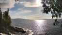 ./images/koeye/fitz-hugh/20250507/fitz-hugh20250507_174510M.jpg
