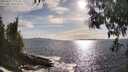 ./images/koeye/fitz-hugh/20250507/fitz-hugh20250507_175510M.jpg