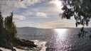 ./images/koeye/fitz-hugh/20250507/fitz-hugh20250507_180012M.jpg