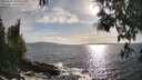 ./images/koeye/fitz-hugh/20250507/fitz-hugh20250507_181010M.jpg