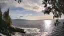 ./images/koeye/fitz-hugh/20250507/fitz-hugh20250507_184010M.jpg