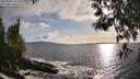 ./images/koeye/fitz-hugh/20250507/fitz-hugh20250507_185009M.jpg