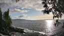 ./images/koeye/fitz-hugh/20250507/fitz-hugh20250507_185510M.jpg
