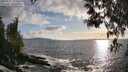 ./images/koeye/fitz-hugh/20250507/fitz-hugh20250507_191006M.jpg