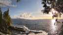 ./images/koeye/fitz-hugh/20250507/fitz-hugh20250507_194009M.jpg