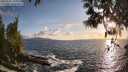 ./images/koeye/fitz-hugh/20250507/fitz-hugh20250507_194508M.jpg
