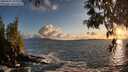 ./images/koeye/fitz-hugh/20250507/fitz-hugh20250507_202009M.jpg