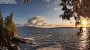 ./images/koeye/fitz-hugh/20250507/fitz-hugh20250507_202509M.jpg