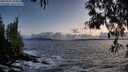 ./images/koeye/fitz-hugh/20250507/fitz-hugh20250507_205008M.jpg