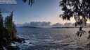 ./images/koeye/fitz-hugh/20250507/fitz-hugh20250507_210009M.jpg