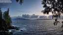 ./images/koeye/fitz-hugh/20250507/fitz-hugh20250507_210507M.jpg