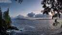 ./images/koeye/fitz-hugh/20250507/fitz-hugh20250507_211509M.jpg