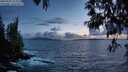 ./images/koeye/fitz-hugh/20250507/fitz-hugh20250507_213508M.jpg
