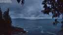 ./images/koeye/fitz-hugh/20250508/fitz-hugh20250508_051507M.jpg