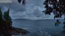 ./images/koeye/fitz-hugh/20250508/fitz-hugh20250508_052009M.jpg