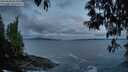 ./images/koeye/fitz-hugh/20250508/fitz-hugh20250508_052509M.jpg