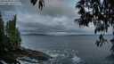 ./images/koeye/fitz-hugh/20250508/fitz-hugh20250508_053508M.jpg