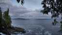 ./images/koeye/fitz-hugh/20250508/fitz-hugh20250508_055010M.jpg