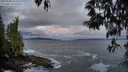./images/koeye/fitz-hugh/20250508/fitz-hugh20250508_055508M.jpg