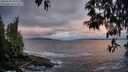 ./images/koeye/fitz-hugh/20250508/fitz-hugh20250508_060510M.jpg