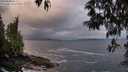 ./images/koeye/fitz-hugh/20250508/fitz-hugh20250508_062010M.jpg