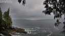 ./images/koeye/fitz-hugh/20250508/fitz-hugh20250508_070008M.jpg