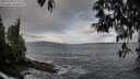 ./images/koeye/fitz-hugh/20250508/fitz-hugh20250508_074510M.jpg
