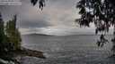 ./images/koeye/fitz-hugh/20250508/fitz-hugh20250508_081509M.jpg