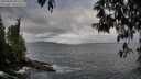 ./images/koeye/fitz-hugh/20250508/fitz-hugh20250508_082509M.jpg