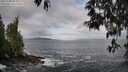 ./images/koeye/fitz-hugh/20250508/fitz-hugh20250508_083011M.jpg