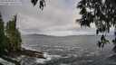 ./images/koeye/fitz-hugh/20250508/fitz-hugh20250508_084008M.jpg