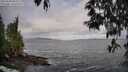./images/koeye/fitz-hugh/20250508/fitz-hugh20250508_084510M.jpg
