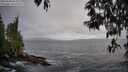./images/koeye/fitz-hugh/20250508/fitz-hugh20250508_085008M.jpg
