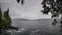 ./images/koeye/fitz-hugh/20250508/fitz-hugh20250508_104011M.jpg