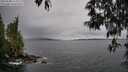 ./images/koeye/fitz-hugh/20250508/fitz-hugh20250508_113510M.jpg