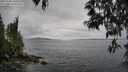 ./images/koeye/fitz-hugh/20250508/fitz-hugh20250508_130510M.jpg
