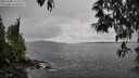 ./images/koeye/fitz-hugh/20250508/fitz-hugh20250508_131010M.jpg