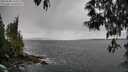 ./images/koeye/fitz-hugh/20250508/fitz-hugh20250508_132011M.jpg