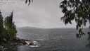 ./images/koeye/fitz-hugh/20250508/fitz-hugh20250508_132510M.jpg