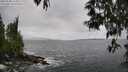 ./images/koeye/fitz-hugh/20250508/fitz-hugh20250508_133010M.jpg