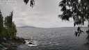./images/koeye/fitz-hugh/20250508/fitz-hugh20250508_133510M.jpg